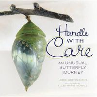 Cover image for Handle with Care: An Unusual Butterfly Journey