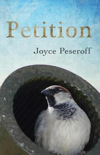 Cover image for Petition