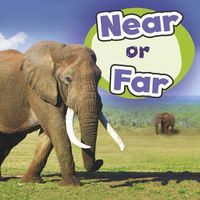 Cover image for Near or Far