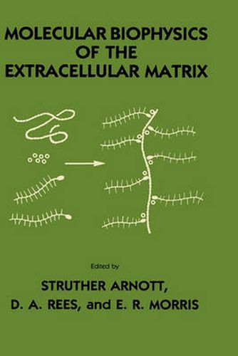 Molecular Biophysics of the Extracellular Matrix