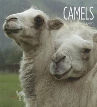 Cover image for Camels