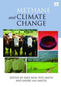 Cover image for Methane and Climate Change