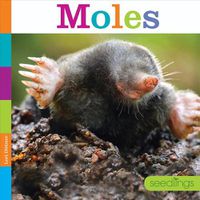 Cover image for Moles