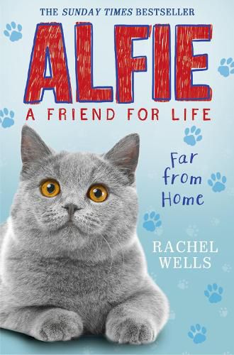 Cover image for Alfie Far From Home