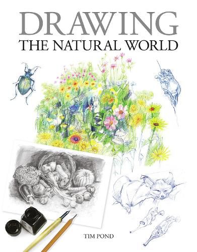 Cover image for Drawing the Natural World