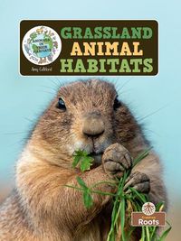 Cover image for Grassland Animal Habitats