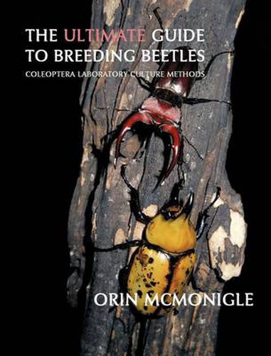 Cover image for The Ultimate Guide to Breeding Beetles: Coleoptera Laboratory Culture Methods
