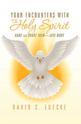 Cover image for Your Encounters with the Holy Spirit: Name and Share Them?Seek More