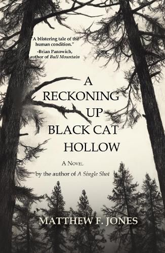 Cover image for A Reckoning Up Black Cat Hollow