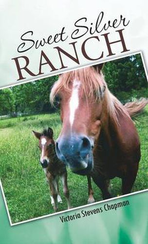Cover image for Sweet Silver Ranch
