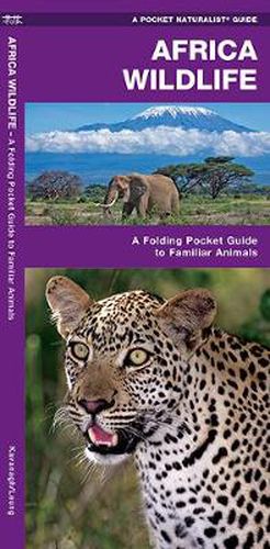 Cover image for African Wildlife: A Folding Pocket Guide to Familiar Species