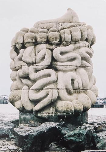 Cover image for Le pied, le pull-over et le syste?me digestif