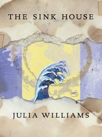 Cover image for The Sink House
