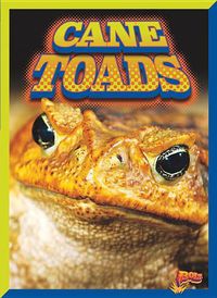 Cover image for Cane Toads