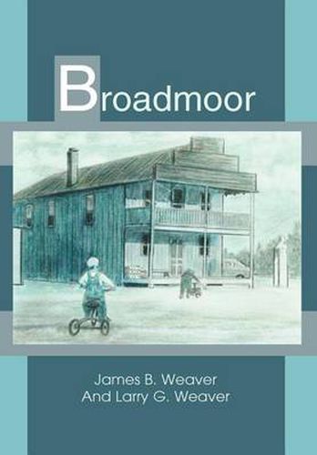 Cover image for Broadmoor