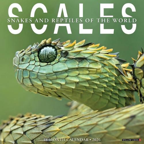 Cover image for Scales 2026 Wall Calendar