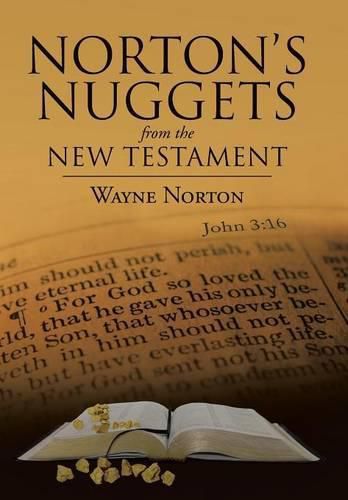 Cover image for Norton's Nuggets from the New Testament