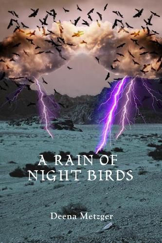 Cover image for A Rain of Night Birds
