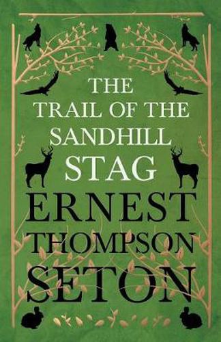 Cover image for The Trail Of The Sandhill Stag - And 60 Drawings