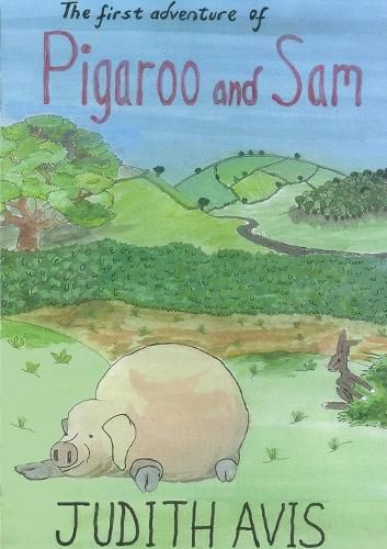 Cover image for The First Adventure of Pigaroo and Sam