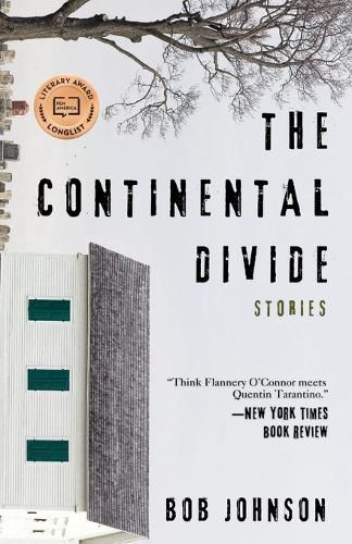 Cover image for The Continental Divide