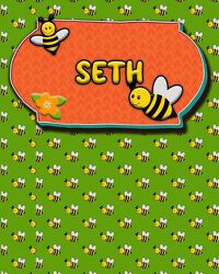 Cover image for Handwriting Practice 120 Page Honey Bee Book Seth: Primary Grades Handwriting Book K-2