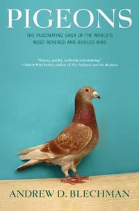 Cover image for Pigeons: The Fascinating Saga of the World's Most Revered and Reviled Bird