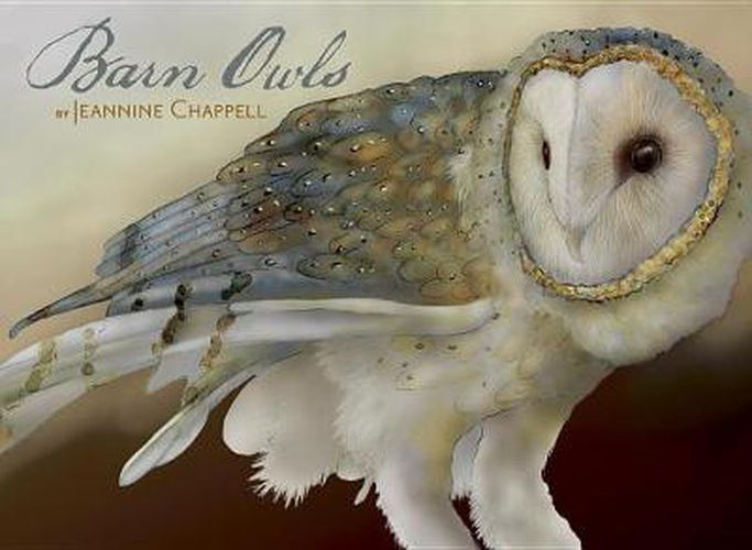 Cover image for Barn Owls by Jeannine Chappell Boxed Notecards (468)