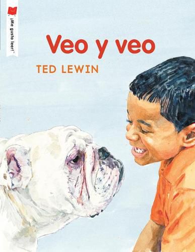 Cover image for Veo y veo