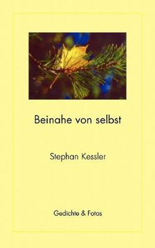 Cover image for Beinahe von selbst: Gedichte & Fotos