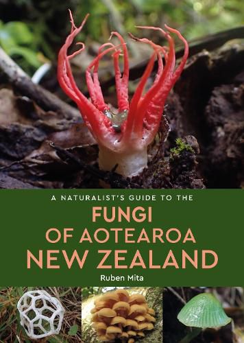 Cover image for A Naturalist's Guide to the Fungi of Aotearoa New Zealand