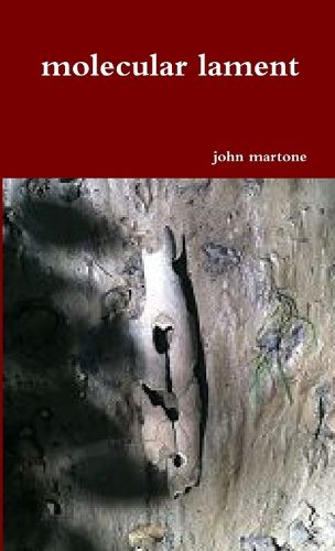 Cover image for molecular lament