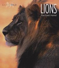 Cover image for Lions