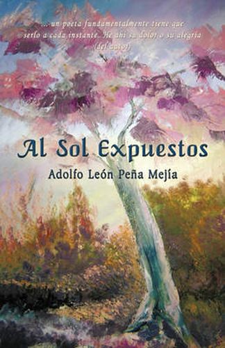 Cover image for Al Sol Expuestos