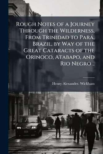Cover image for Rough Notes of a Journey Through the Wilderness, From Trinidad to ParaI, Brazil, by Way of the Great Cataracts of the Orinoco, Atabapo, and Rio Negro ..