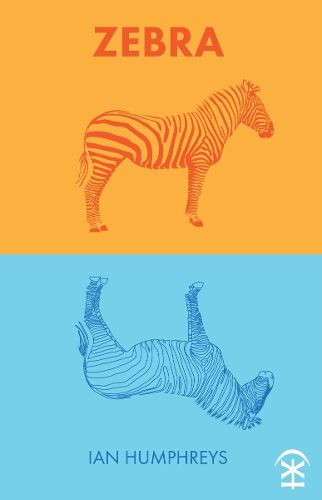 Cover image for Zebra