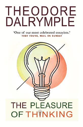 Cover image for Pleasure of Thinking: A Journey Through the Sideways Leaps of Ideas