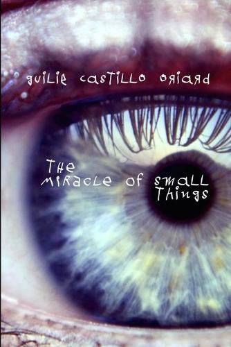 Cover image for The Miracle of Small Things