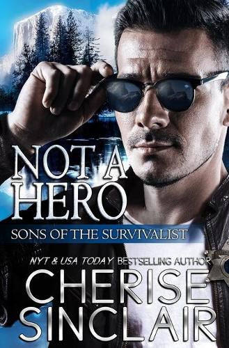 Cover image for Not a Hero