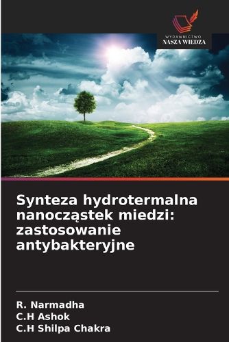Cover image for Synteza hydrotermalna nanocząstek miedzi