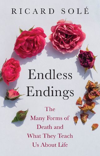 Cover image for Endless Endings