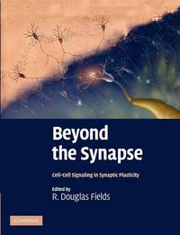 Cover image for Beyond the Synapse: Cell-Cell Signaling in Synaptic Plasticity