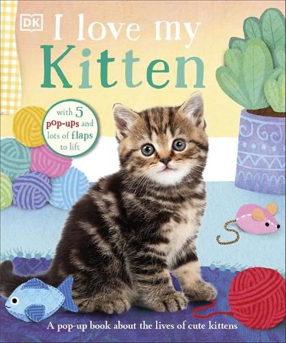 I Love My Kitten: A Pop-Up Book About the Lives of Cute Kittens