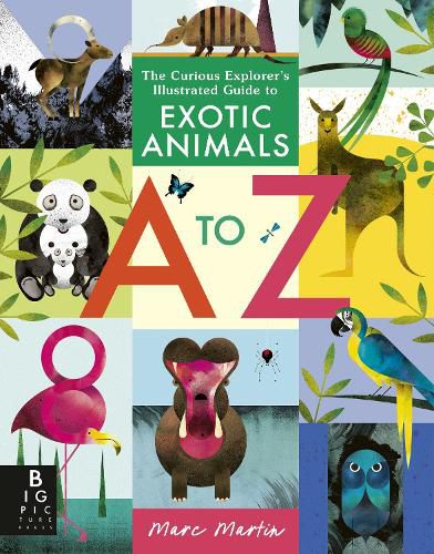 Cover image for The Curious Explorer's Illustrated Guide to Exotic Animals A to Z