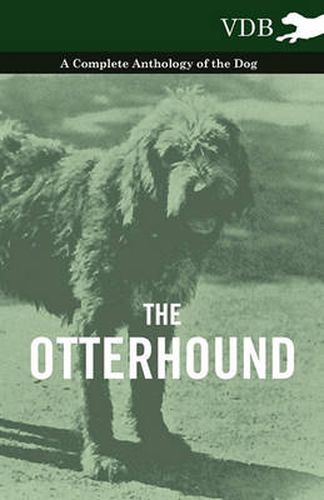 Cover image for The Otterhound - A Complete Anthology of the Dog