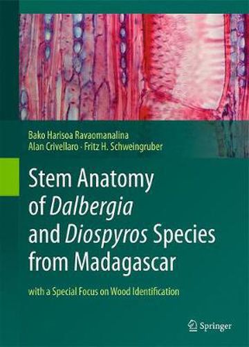 Cover image for Stem Anatomy of Dalbergia and Diospyros Species from Madagascar: with a Special Focus on Wood Identification