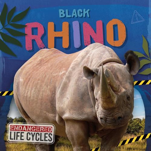 Cover image for Black Rhino