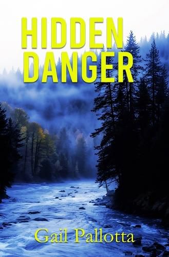 Cover image for Hidden Danger