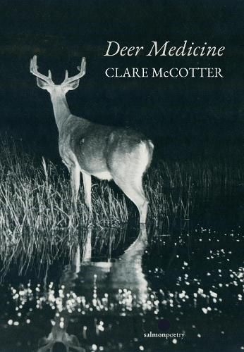 Cover image for Deer Medicine