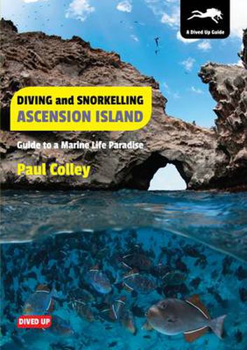 Diving and Snorkelling Ascension Island: Guide to a Marine Life Paradise